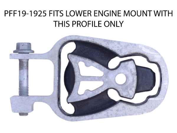 PFF19-1925