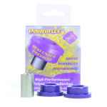 Powerflex for Mini Generation 1 (R50/52/53) (2000 - 2006) Engine Support Bracket Small PFF5-104